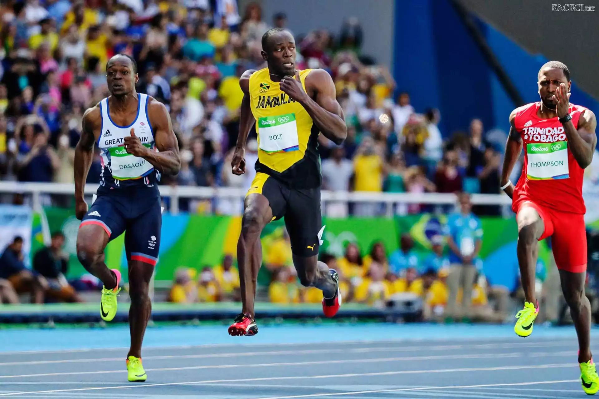 Bieżnia, Usain Bolt, Sportowcy, Bieg